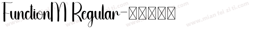 FunctionM Regular字体转换